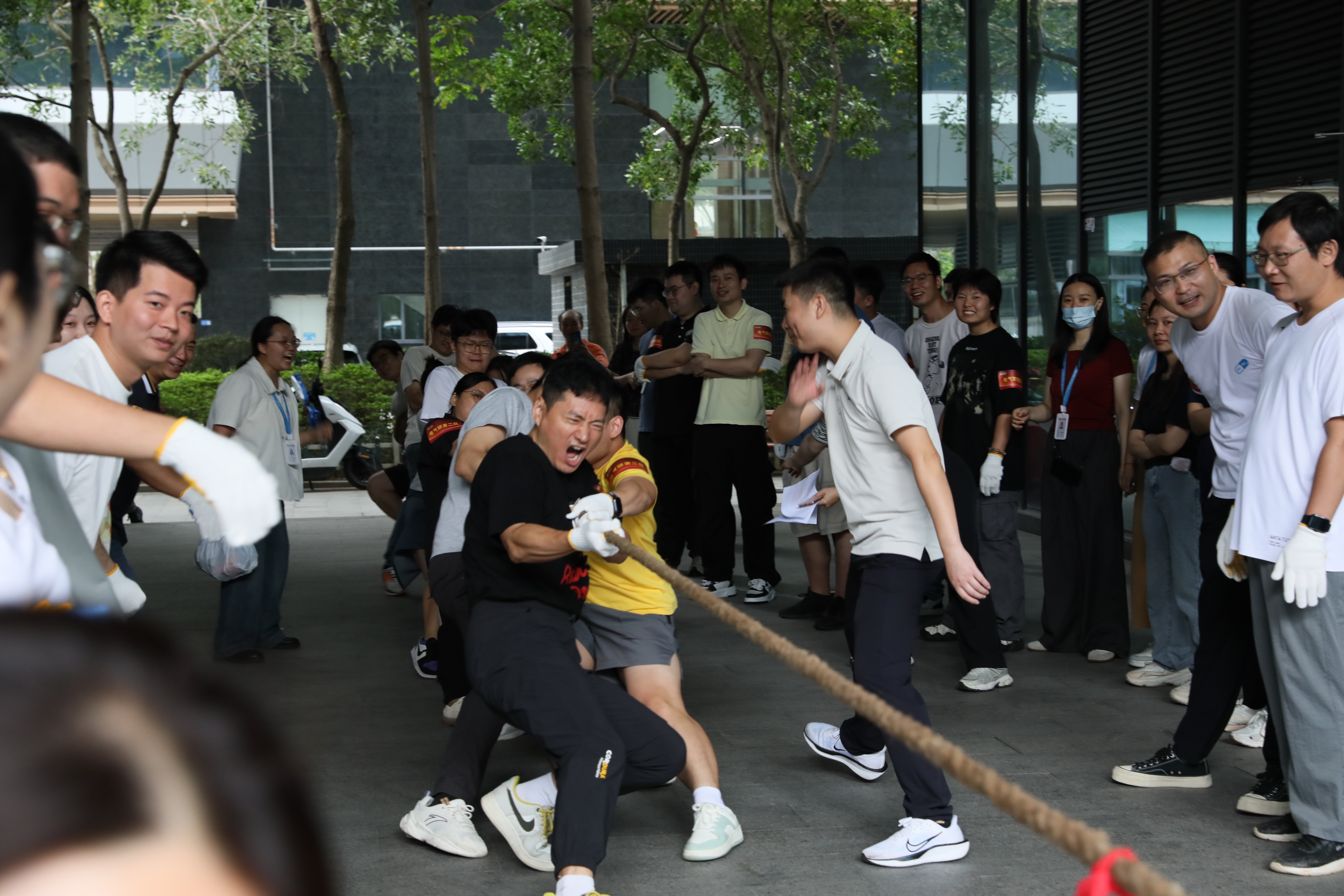 yd2333ƶϷ(ɷ޹˾)-BaiduٿNO.1